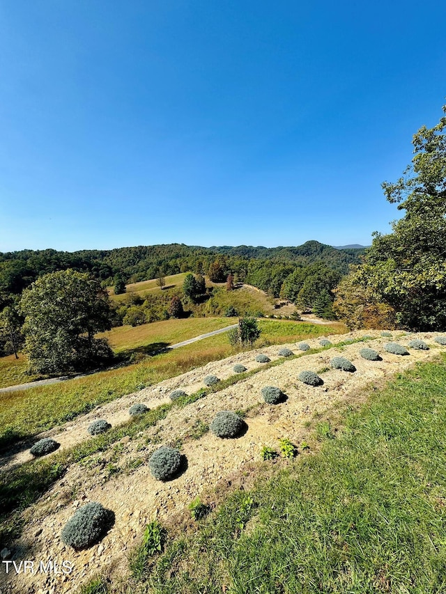 TBD Shelleys Rd, Bristol, VA 24202