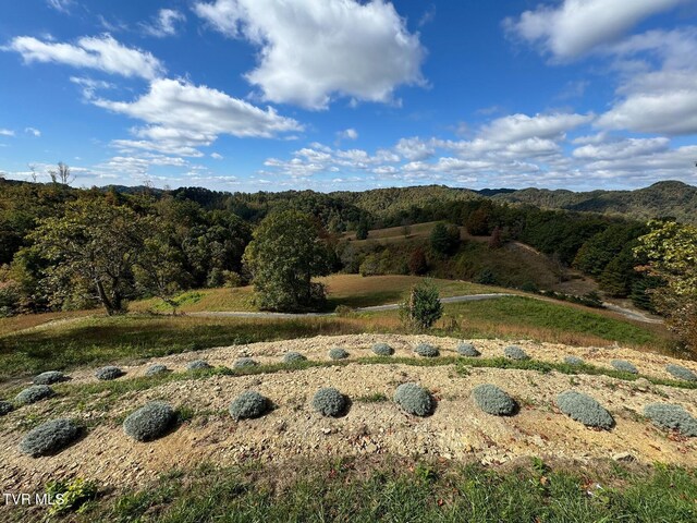 TBD Shelleys Rd, Bristol, VA 24202