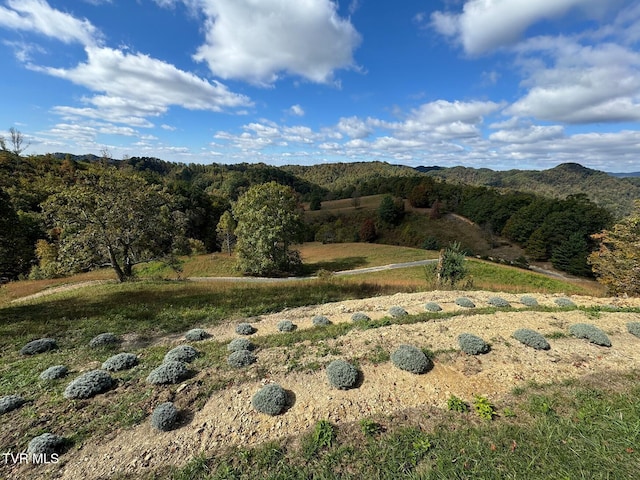 TBD Shelleys Rd, Bristol, VA 24202