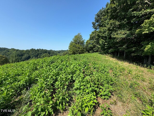 TBD Shelleys Rd, Bristol, VA 24202