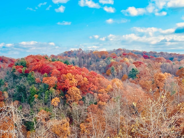 TBD Shelleys Rd, Bristol, VA 24202