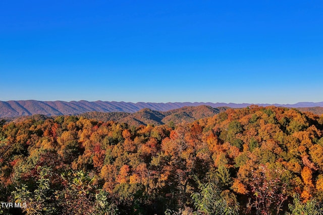 TBD Shelleys Rd, Bristol, VA 24202