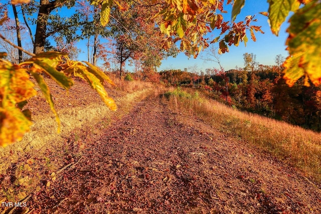 TBD Shelleys Rd, Bristol, VA 24202