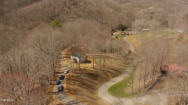 1131 Cherry Springs Ln, Trade, TN 37691 - photo 4