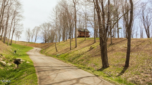 1131 Cherry Springs Ln, Trade, TN 37691 - photo 5