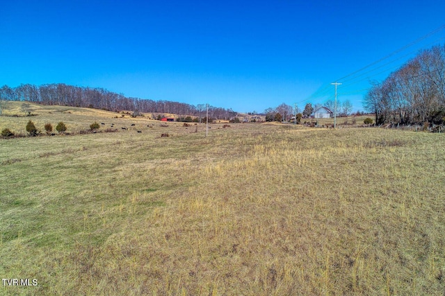 TBD Old Snapps Ferry Rd, Chuckey, TN 37641