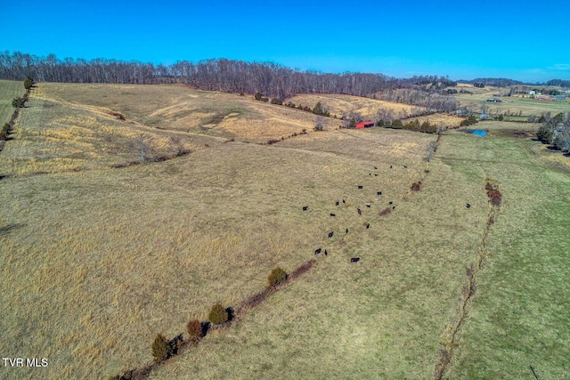 TBD Old Snapps Ferry Rd, Chuckey, TN 37641