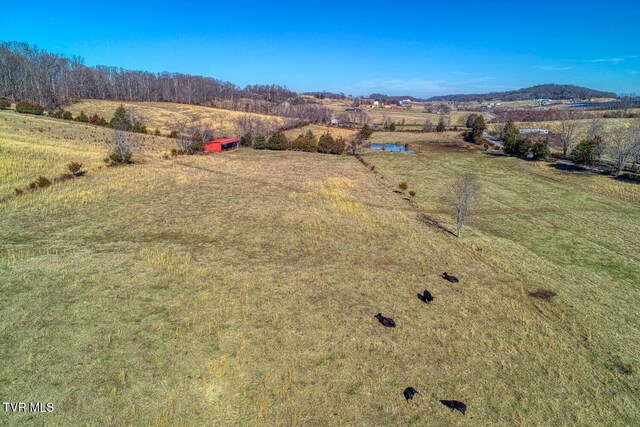 TBD Old Snapps Ferry Rd, Chuckey, TN 37641