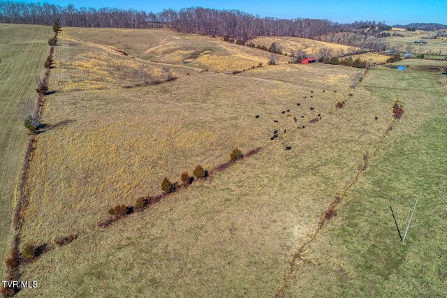 TBD Old Snapps Ferry Rd, Chuckey, TN 37641