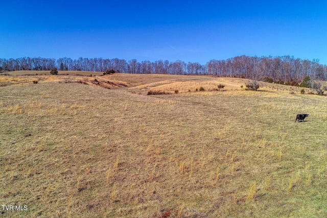 TBD Old Snapps Ferry Rd, Chuckey, TN 37641