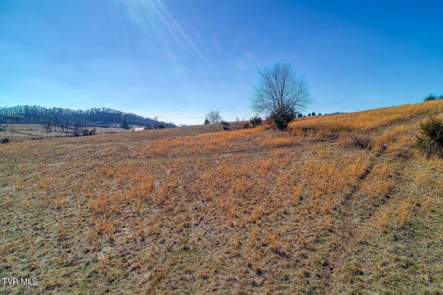 TBD Old Snapps Ferry Rd, Chuckey, TN 37641