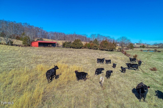TBD Old Snapps Ferry Rd, Chuckey, TN 37641