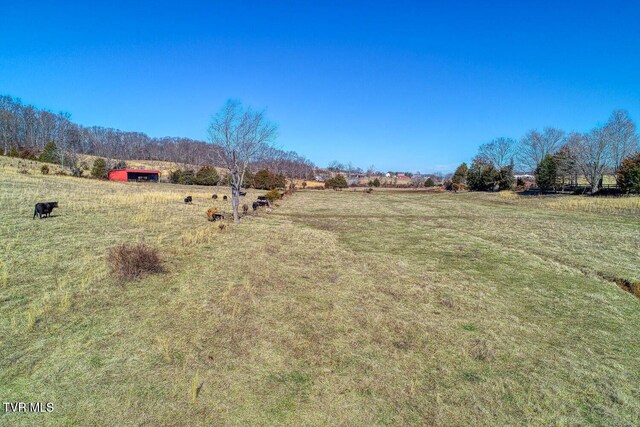 TBD Old Snapps Ferry Rd, Chuckey, TN 37641