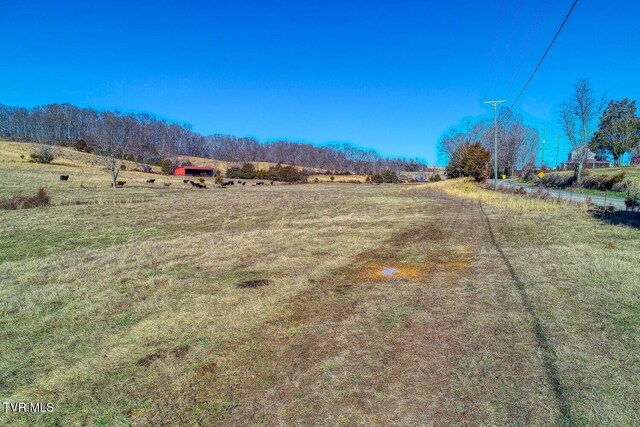 TBD Old Snapps Ferry Rd, Chuckey, TN 37641