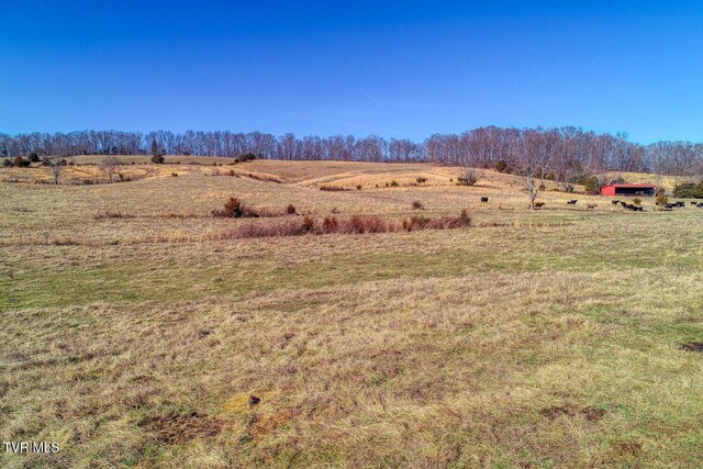 TBD Old Snapps Ferry Rd, Chuckey, TN 37641