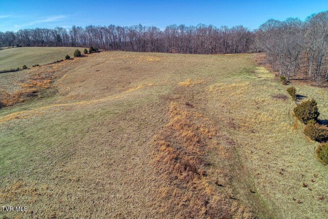 TBD Old Snapps Ferry Rd, Chuckey, TN 37641