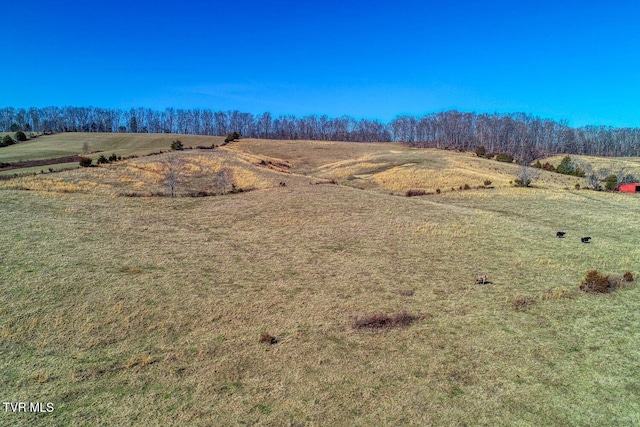 TBD Old Snapps Ferry Rd, Chuckey, TN 37641