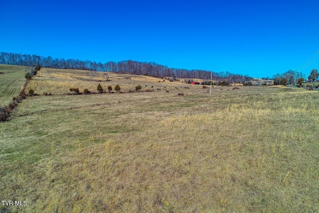 TBD Old Snapps Ferry Rd, Chuckey, TN 37641