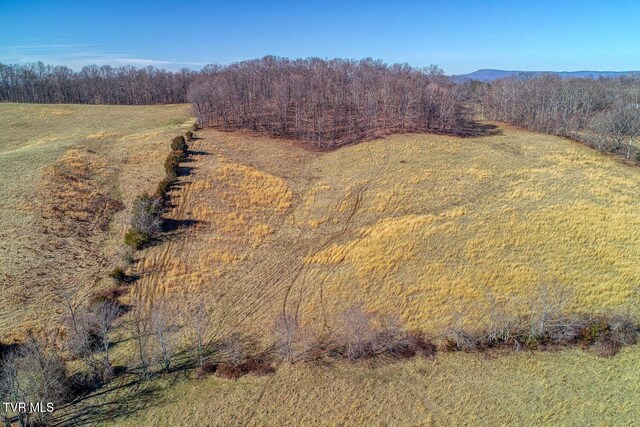 TBD Old Snapps Ferry Rd, Chuckey, TN 37641