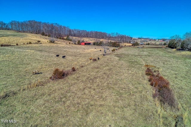 TBD Old Snapps Ferry Rd, Chuckey, TN 37641