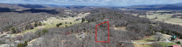 0 Cave Ridge Rd, Rogersville, TN 37857 - photo 2