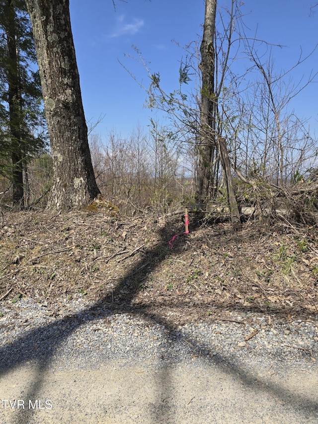 000 Walnut Mountain Rd, Roan Mountain, TN 37687