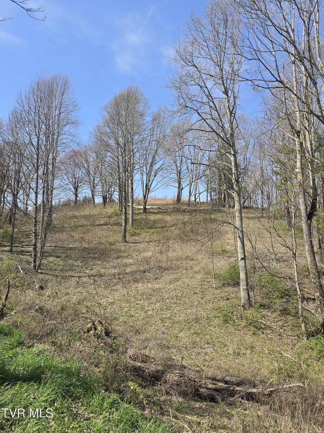 000 Walnut Mountain Rd, Roan Mountain, TN 37687