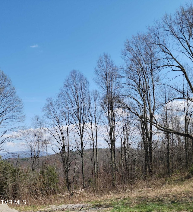 000 Walnut Mountain Rd, Roan Mountain, TN 37687