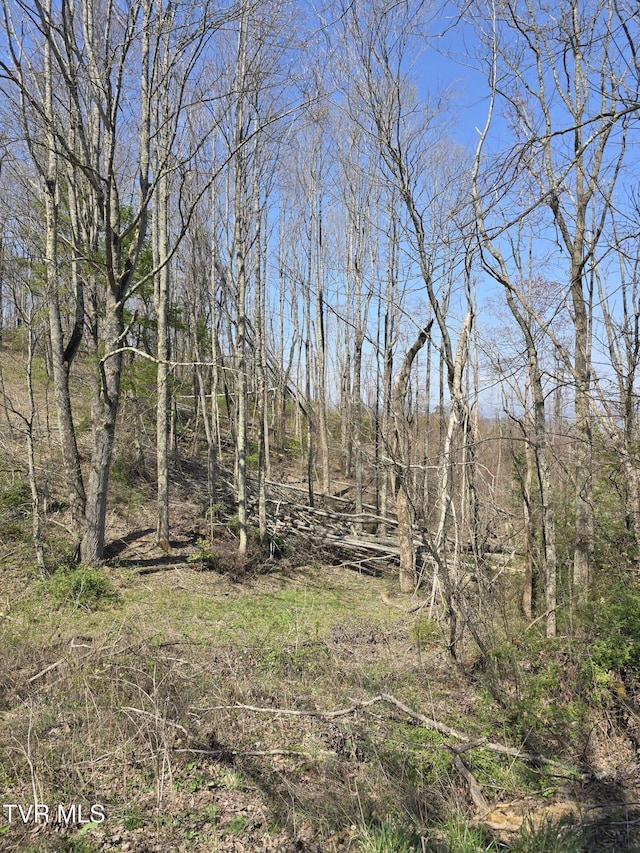 000 Walnut Mountain Rd, Roan Mountain, TN 37687
