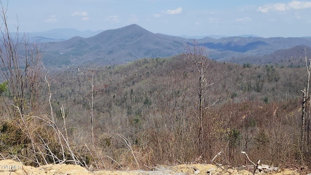 000 Walnut Mountain Rd, Roan Mountain, TN 37687