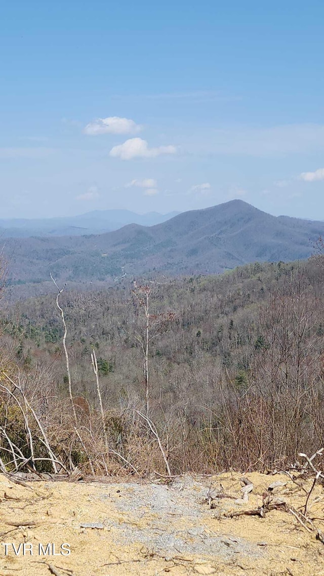 000 Walnut Mountain Rd, Roan Mountain, TN 37687
