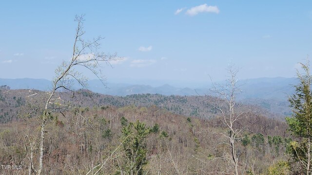 000 Walnut Mountain Rd, Roan Mountain, TN 37687