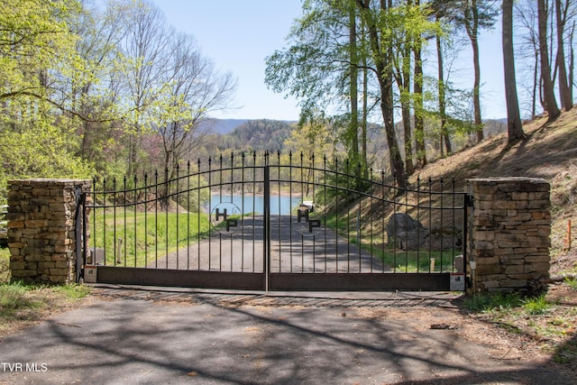 20268 Heron Cir, Abingdon, VA 24211 - view of gate