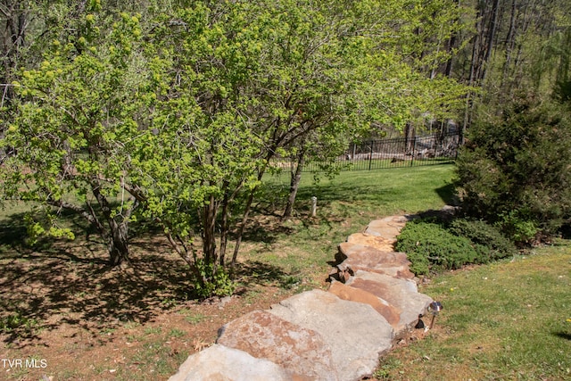 20268 Heron Cir, Abingdon, VA 24211 - view of yard with fence