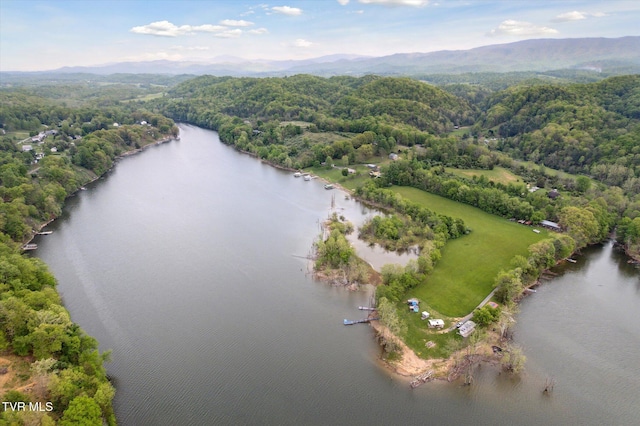 20268 Heron Cir, Abingdon, VA 24211 - drone / aerial view with a water and mountain view and a view of trees