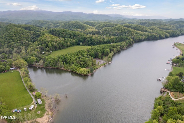 20268 Heron Cir, Abingdon, VA 24211 - birds eye view of property with a water and mountain view and a wooded view