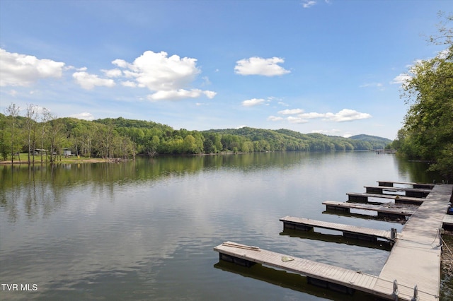 20268 Heron Cir, Abingdon, VA 24211 - dock area featuring a water view and a wooded view