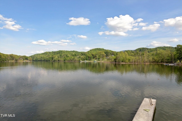 20268 Heron Cir, Abingdon, VA 24211 - view of water feature with a view of trees and a dock