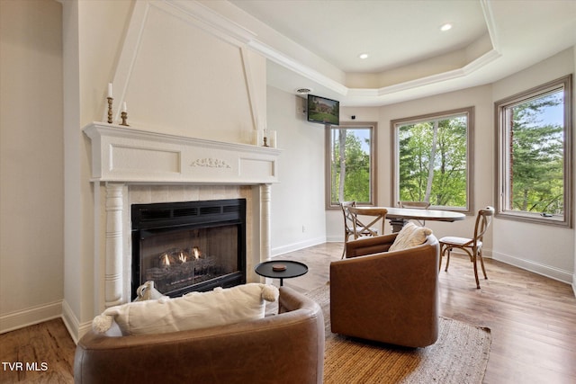 20268 Heron Cir, Abingdon, VA 24211 - living area with a large fireplace, baseboards, light wood finished floors, a tray ceiling, and recessed lighting