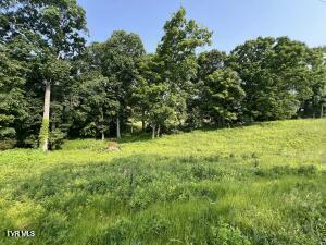 0 Greystone Rd, Greeneville, TN 37743