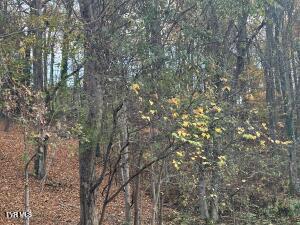 0 Greystone Rd, Greeneville, TN 37743