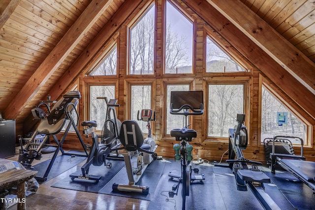 223 Black Bear Rdg, Roan Mountain, TN 37687 - exercise room with wooden walls, wood ceiling, vaulted ceiling, and a healthy amount of sunlight