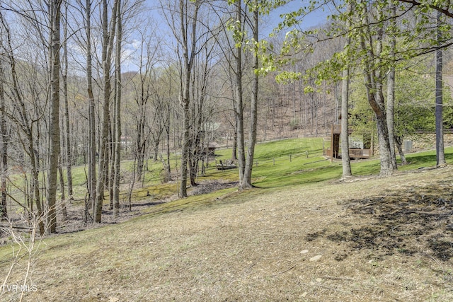 223 Black Bear Rdg, Roan Mountain, TN 37687 - view of yard