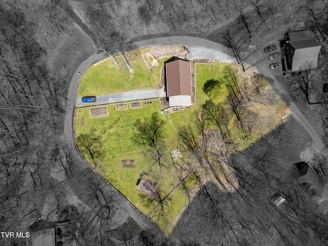223 Black Bear Rdg, Roan Mountain, TN 37687 - birds eye view of property