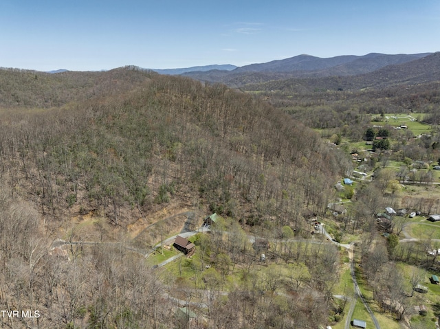 223 Black Bear Rdg, Roan Mountain, TN 37687 - birds eye view of property featuring a mountain view