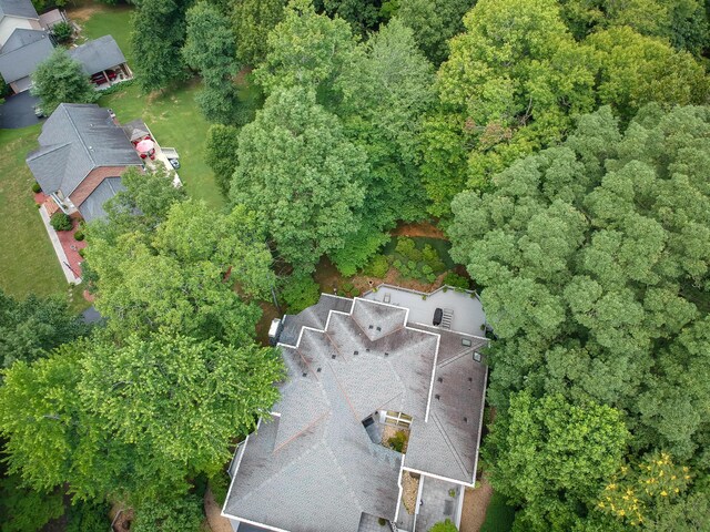bird's eye view