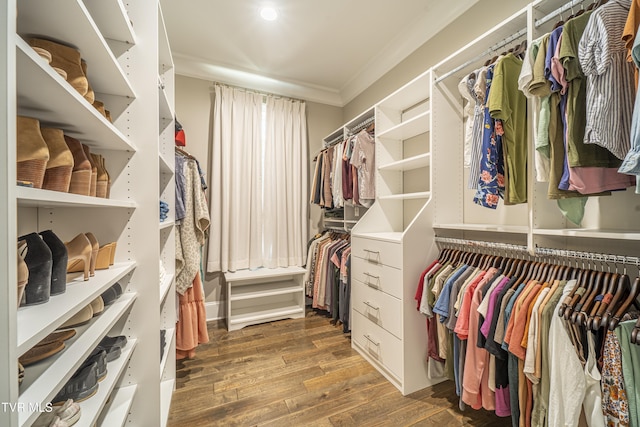 walk in closet with wood finished floors