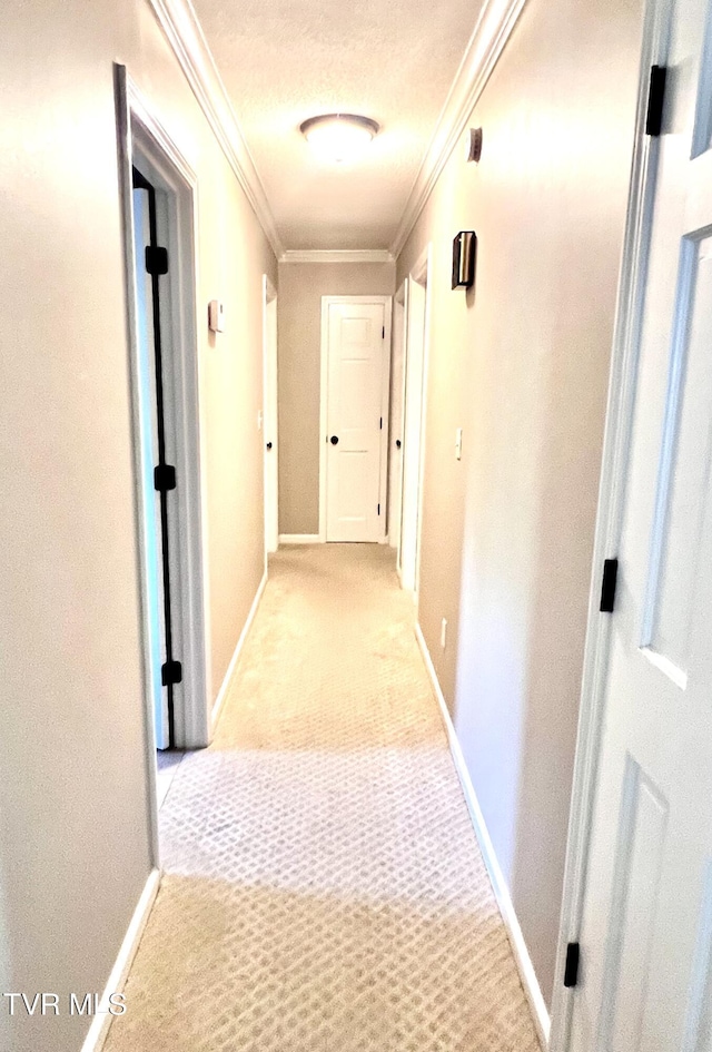 2215 Knob Creek Rd, Johnson City, TN 37604 - hall with crown molding, baseboards, and light colored carpet