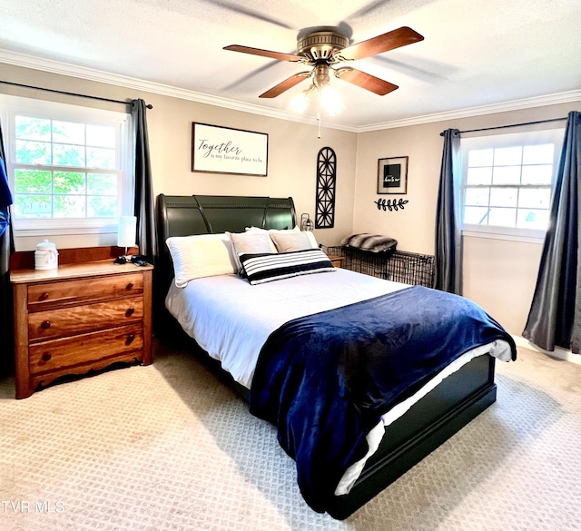 2215 Knob Creek Rd, Johnson City, TN 37604 - bedroom featuring carpet flooring, multiple windows, and ornamental molding
