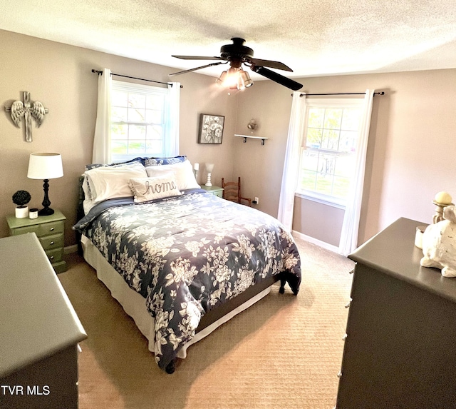2215 Knob Creek Rd, Johnson City, TN 37604 - bedroom with carpet floors, baseboards, a ceiling fan, and a textured ceiling